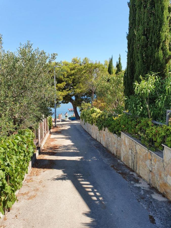 טרוגיר Apartman Tamara מראה חיצוני תמונה